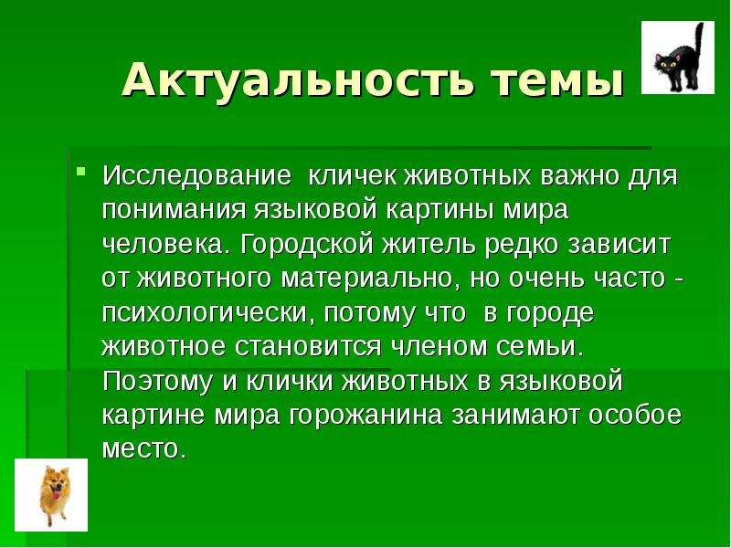 Почему важны животные. Актуальность по тема животные. Зоонимы. Актуальность темы животное. Зоонимы примеры.