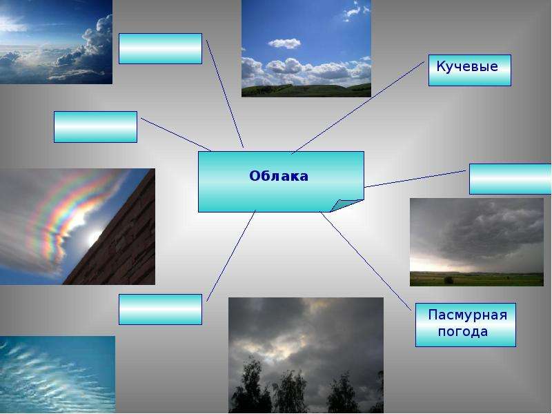 Подпишите виды облаков показанных на рисунках