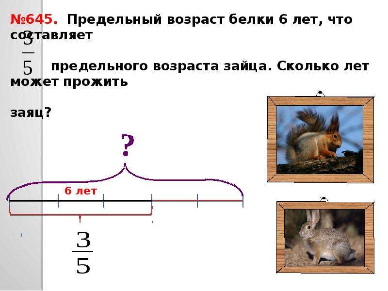 Возраст белки. Как узнать Возраст белки. Как определить Возраст бельчонка. Эффект белки на возрастной модели.