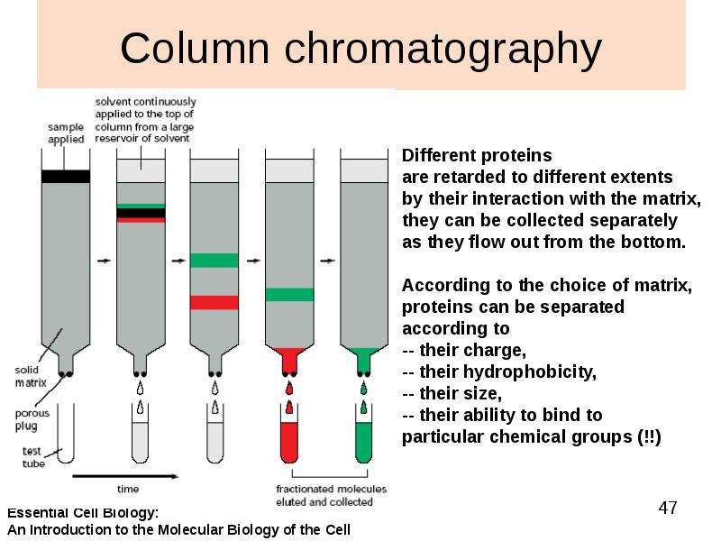 


Column chromatography
