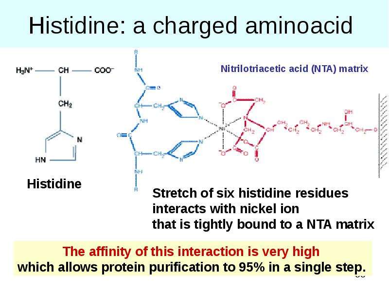 


Histidine: a charged aminoacid 
