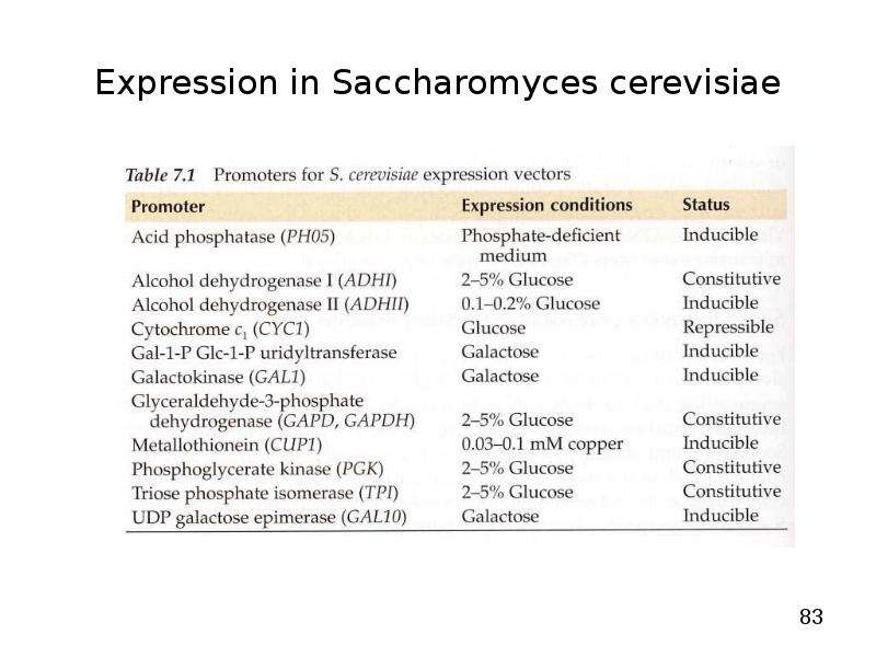   
  Gene Expression Systems in Prokaryotes and Eukaryotes  Expression studies  Expression in Prokaryotes (Bacteria)  Expression in Eukaryotes  , слайд №83