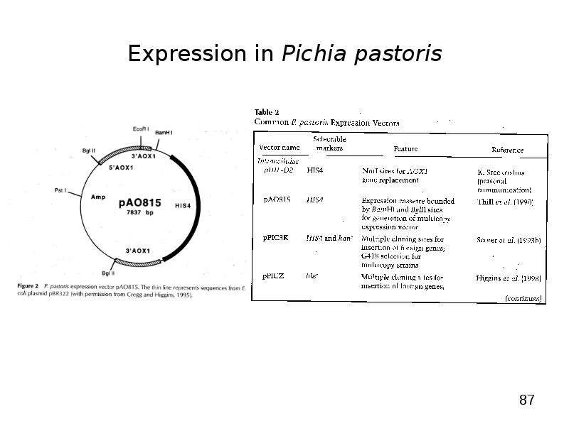 


Expression in Pichia pastoris
