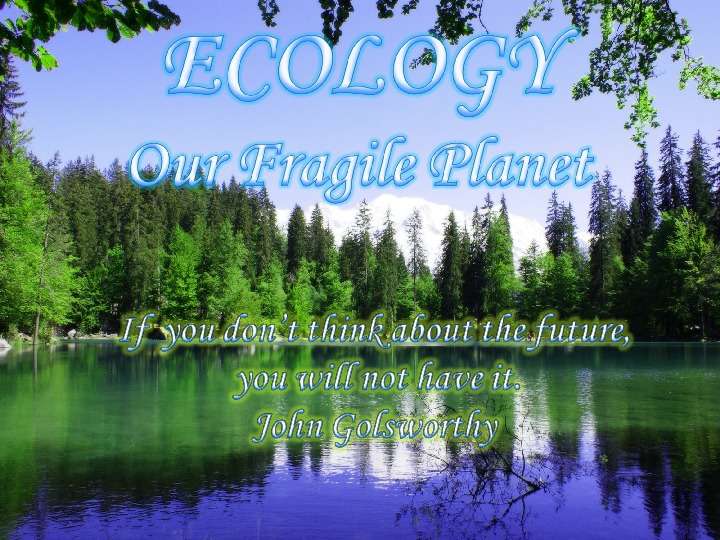 Презентация к уроку английского языка "ECOLOGY Our Fragile Planet" - , слайд №1