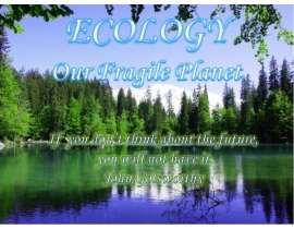 Презентация к уроку английского языка "ECOLOGY Our Fragile Planet" - 