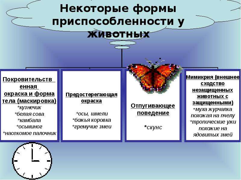 Приспособленность организмов к действию факторов среды презентация 9 класс