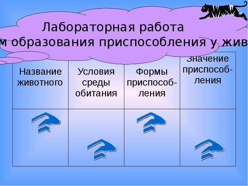 Лабораторная работа приспособление организмов. Приспособленность человека к трудовой деятельности. Каков механизм образования приспособлений. Приспособленность руки человека. Черты приспособления руки человека к трудовой деятельности.