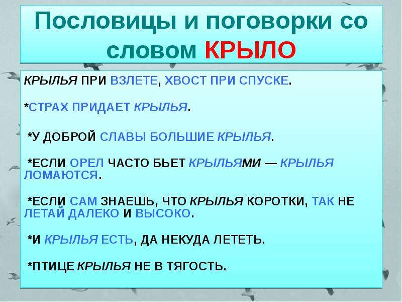 Составь предложение со словами крылья хвост начерти графическую схему