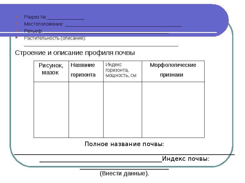 Морфологическое описание системы