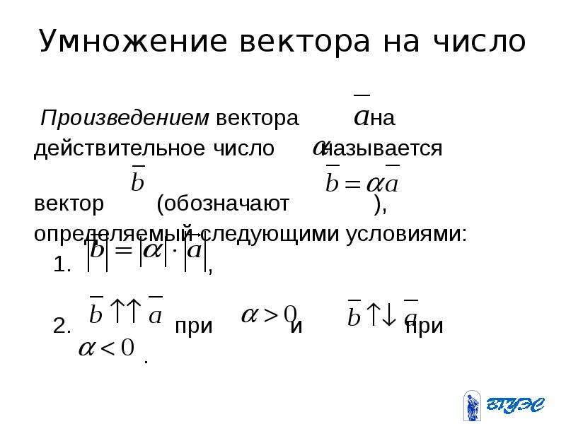 Умножение векторов. Векторы основные понятия. Умножение вещественных чисел. Векторное произведение самого на себя. Элементы вектора обозначают.