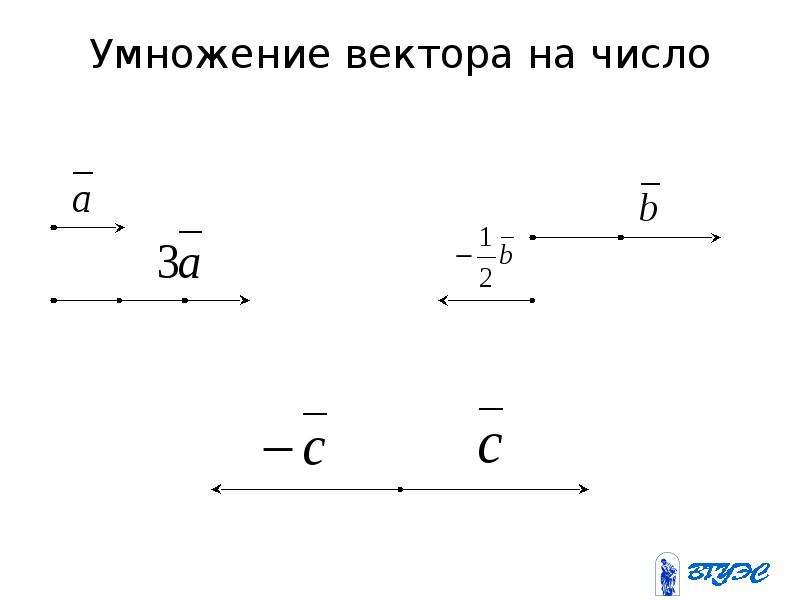 Умножение вектора на вектор. Числа вектор. Вектор умноженный сам на себя. Векторное число.