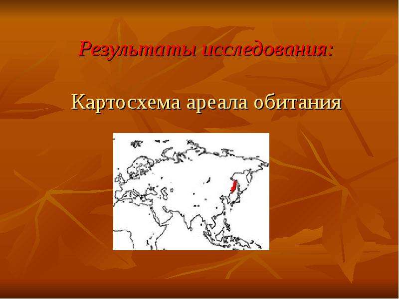 Как выглядит картосхема. Ареал обитания амурских тигров. Амурский тигр ареал обитания на карте. Карта обитания Амурского тигра.