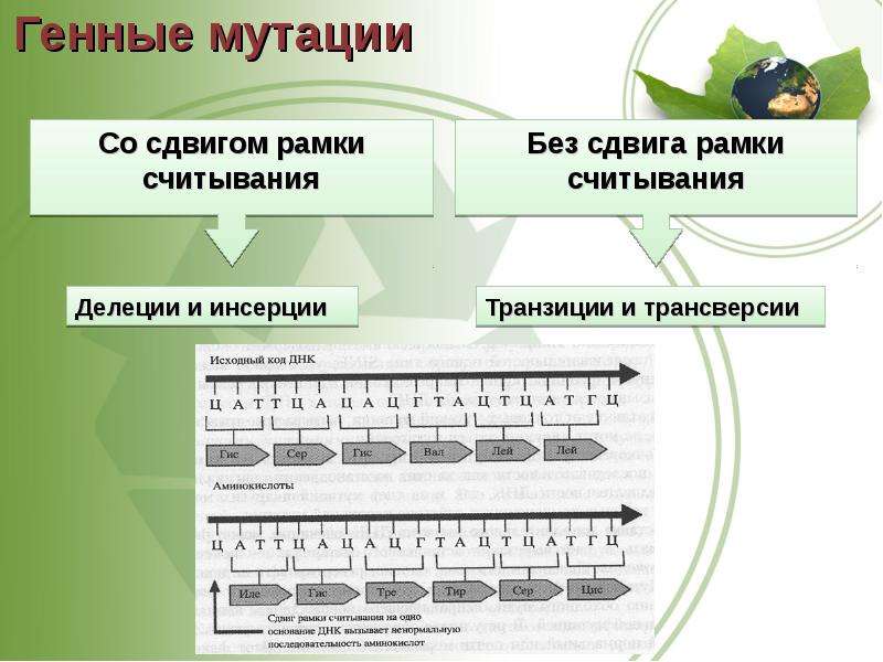 Рамка считывания. Сдвиг рамки считывания в генной мутации. Мутации (делеция, сдвиг рамки считывания). Делеция сдвиг рамки считывания. Генные мутации без сдвига рамки считывания.