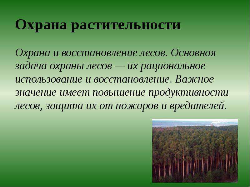 Презентация на тему рациональное использование лесных ресурсов