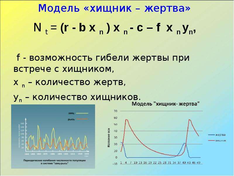 Модели динамики численности. Модель хищник жертва. Динамика популяции. Динамика популяции экология презентация. Динамика популяций это в экологии.