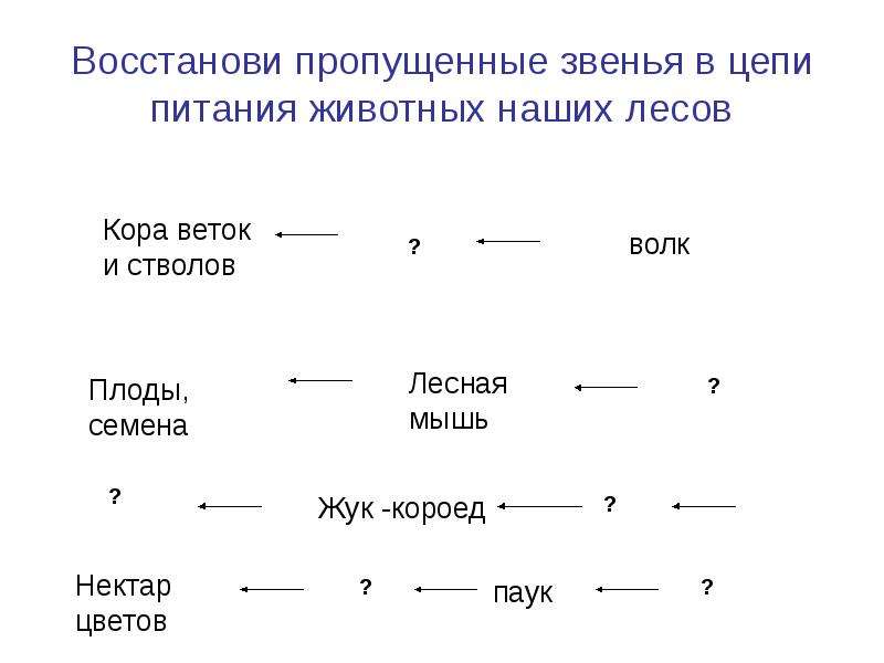 Восстановите пропущенное слово. Цепи питания 2 класс задания. Цепи питания задания для 3 класса. Цепи питания карточки. Цепи питания 3 класс карточки.