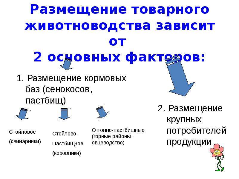 Факторы размещения животноводства. Факторы размещения животноводства в России. Размещение товарного животноводства зависит от. Факторы размещения скотоводства в России.