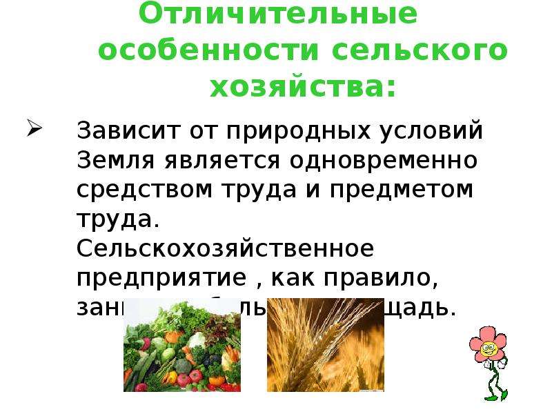 Хозяйство зависит от. Особенности сельского хозяйства. Сообщение о растениеводстве и животноводстве. Сообщение на тему сельское хозяйство. Доклад на тему Растениеводство и животноводство.