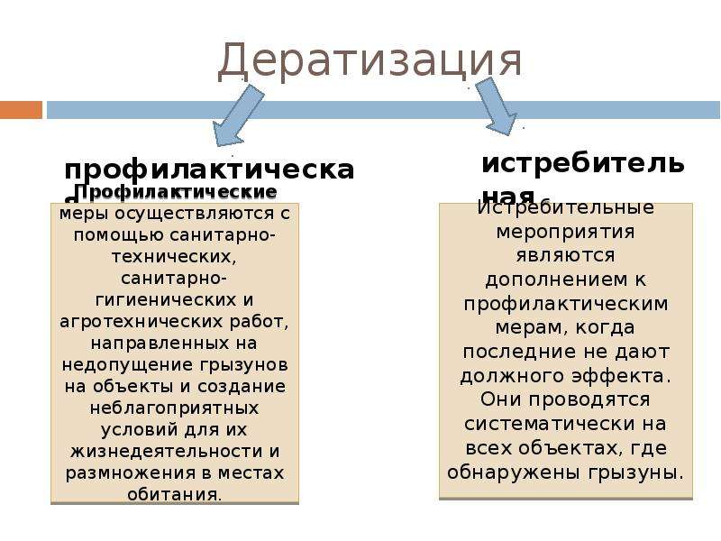 Дератизация презентация эпидемиология