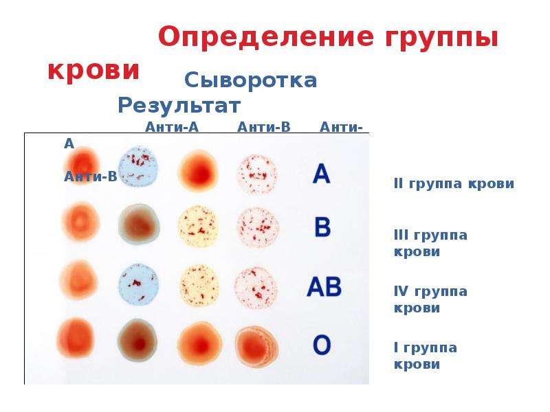 Группа крови рисунок