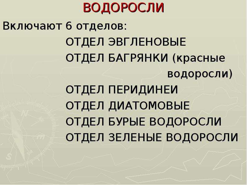 Ядерные организмы. Царство протоктисты. Отделы царства протоктисты. Царство Protoctista включает отдел. Царство протоктисты. Протоктисты водоросли. Общая характеристика.