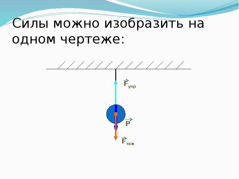 На чертеже силу изображают в виде