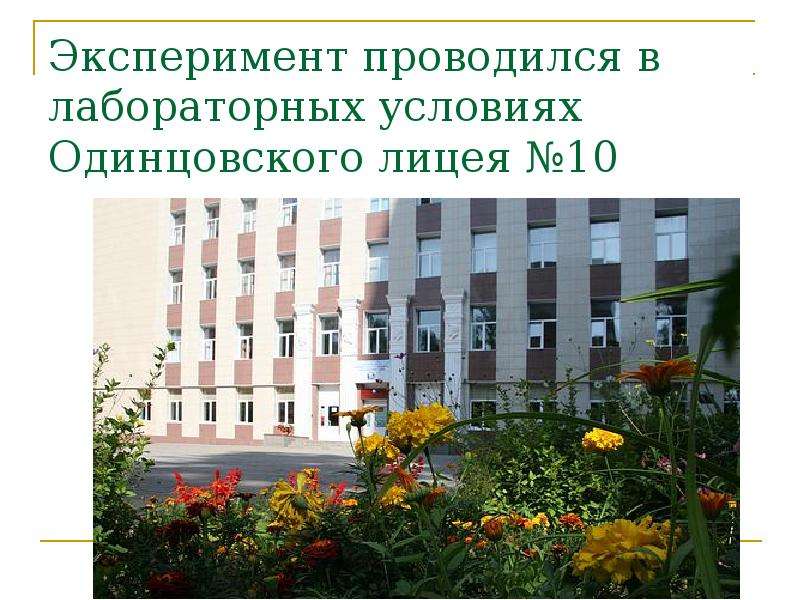 Эксперимент проводился в лабораторных условиях Одинцовского лицея №10