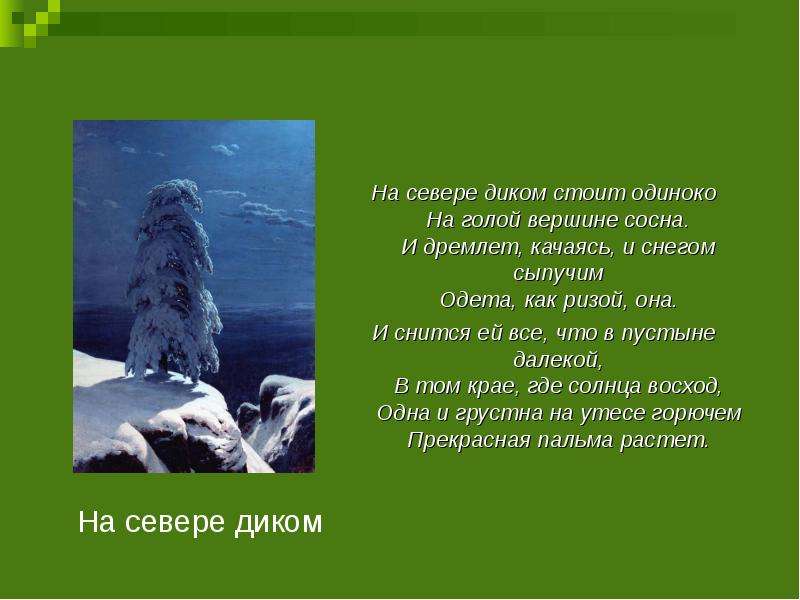 Снегом сыпучим одета как ризой она. На севере диком Лермонтов. И снится ей всё что в пустыне далёкой в том крае. Как ризой. Тютчев на севере диком.