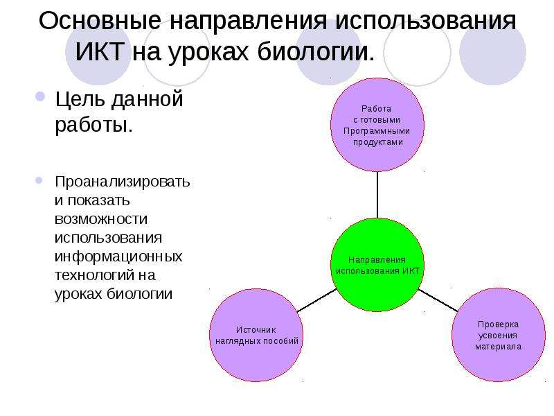 Использование рисунков на уроках биологии