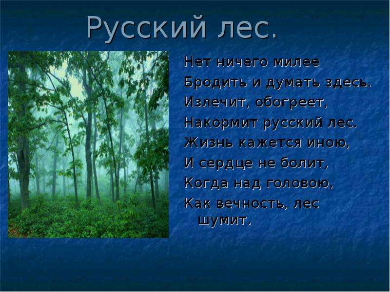 Лес 5 класс. Стихи о лесе. Стихотворение русский Лис. Стихи о русском лесе. Стихотворение про лес.