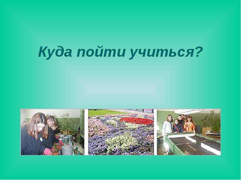 Куда поступать с биологией. Где учиться на цветовода. Профессия цветовод для инвалидов. Рабочий зеленого хозяйства презентация спасибо. Цветовод профессия плюсы и минусы.