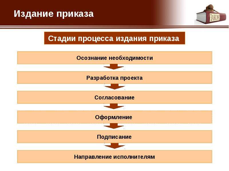 Система образования приказы. Этапы процесса подготовки приказа. Этапы издания приказа. Основание для издания приказа. Порядок издания приказов.