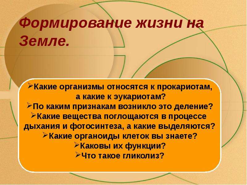 Становление жизни. Формирование жизни. Какие организмы относят к прокариотам. Проявление жизни на земле. Формирования жизни на земле глоссарий.