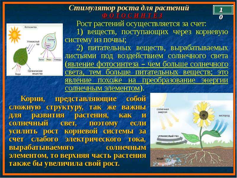 Поглощает солнечную энергию. Солнечная энергия для растений. Растения используют энергию солнца. Солнечную энергию растения используют для чего. Растения используя энергию солнца.