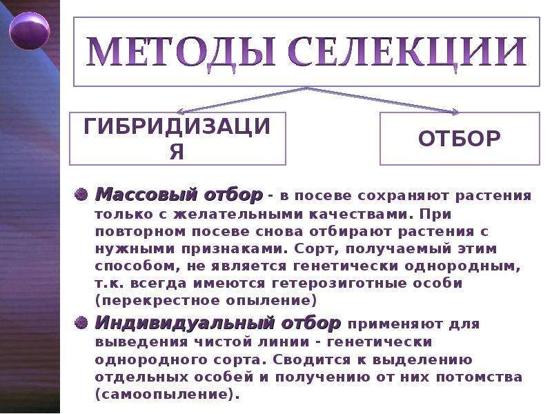 Массовый отбор презентация