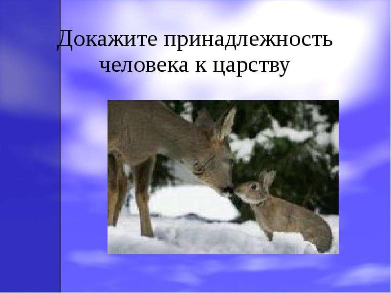 Докажите принадлежность. Доказательство принадлежности человека к царству животных. Доказательства принадлежности человека к царству животные. Признаки доказывающие принадлежность человека к царству животных. Доказать принадлежность человека к царству.