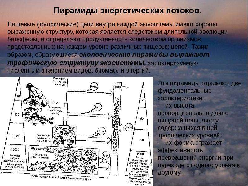 На более высокий трофический уровень переходит