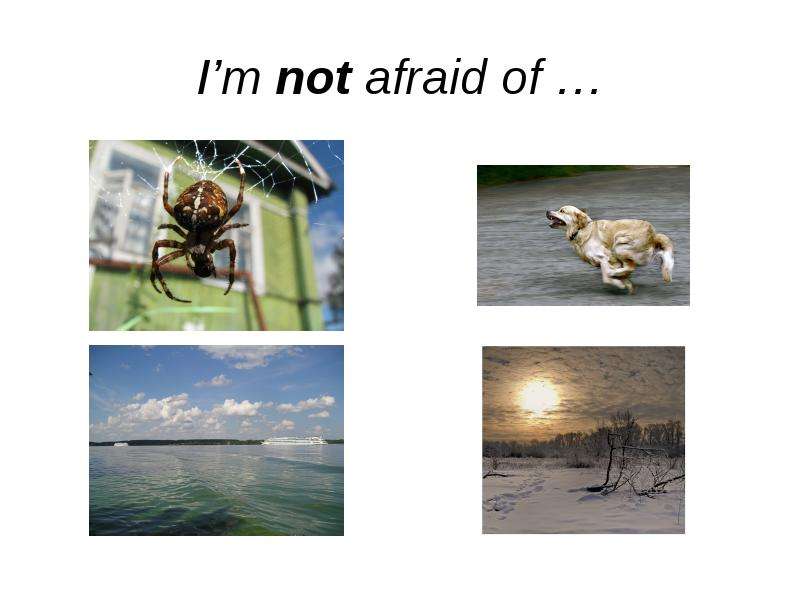 Afraid в предложении. Be not afraid.