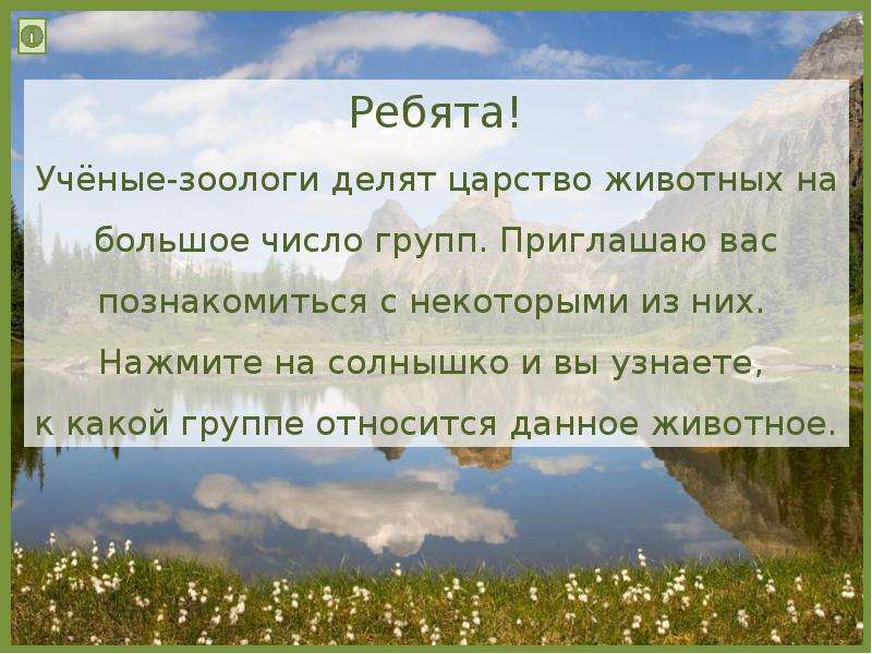 Разнообразие животных презентация 3 класс окружающий мир плешаков презентация