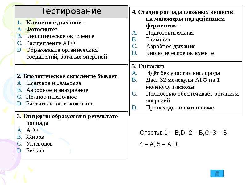 Энергетический обмен презентация 11 класс биология - 86 фото