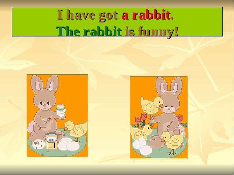 Rabbits have got long. Has got a Rabbit. The Rabbit is funny вопросительное предложение. I have got a Rabbit.