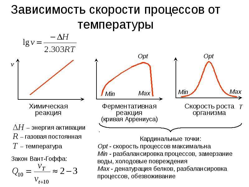 Процесс зависящий. Зависимость направленности процесса от температуры. Зависимость вероятной скорости от температуры. Зависимость скорости реакции от температуры таблица. Зависимость биологических процессов от температуры.