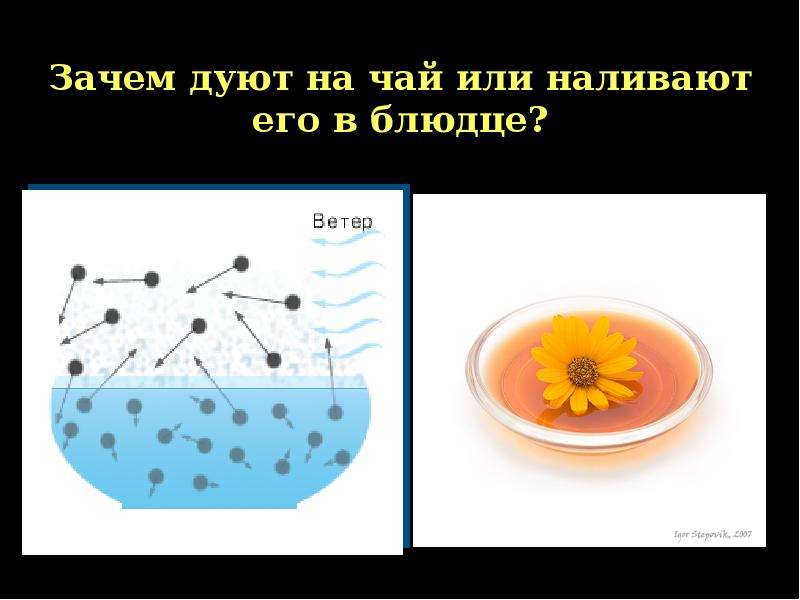 Почему горячий чай остывает. Физика в стакане чая. Чай подуй на чай. Дует на чай рисунок. Зачем чай наливали в блюдце.