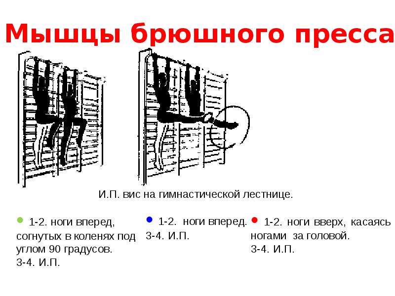 Вис на гимнастической стенке