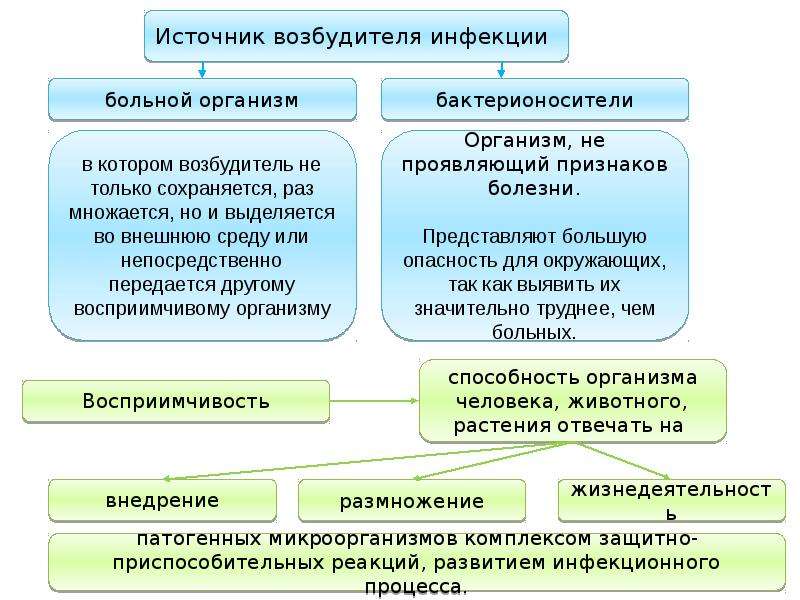 Возбудители инфекционных заболеваний презентация