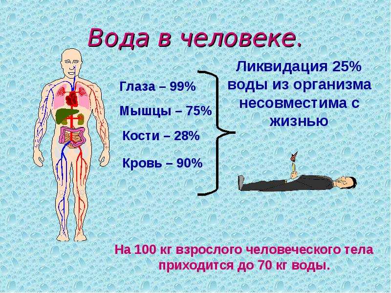 Жидкость в организме. Вода в организме человека презентация. Роль воды в организме человека. Вода в нашем организме. Вода в человеческом организме.