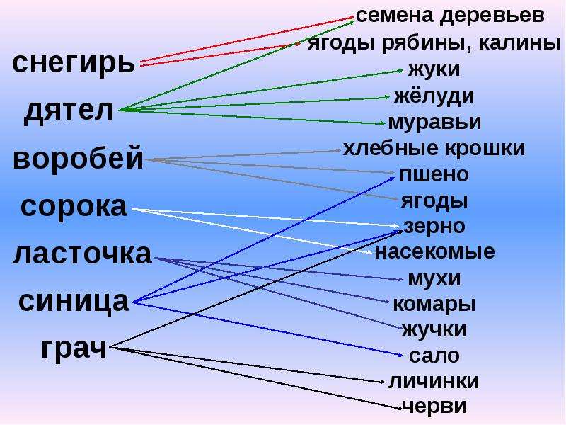 Птицы родного края изо 2 класс презентация