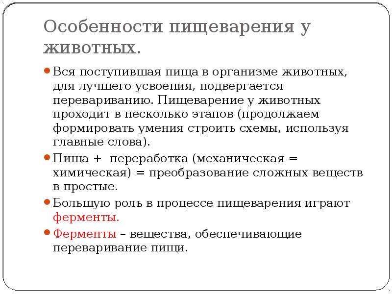 Особенности пищеварения. Особенности пищеварения животных. Особенности пищеварения у животных таблица. Особенности органов пищеварения у позвоночных животных.