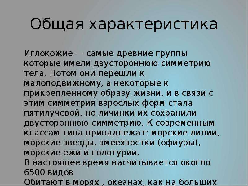 Тип иглокожие презентация 7 класс биология