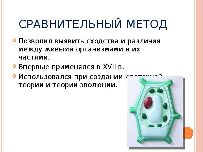 Тест методы изучения живой природы 5 класс. Сравнительные методы в биологии. Сравнительный метод исследования в биологии. Методы исследования в биологии и химии. Методы изучения биологии презентация.